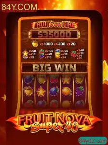 Desvendando o Mundo de FruitNovaSuper40: Guia Completo e Regras do Jogo